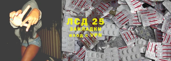 шишки Магас