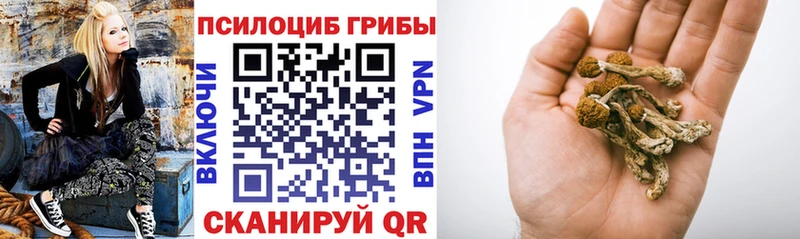 omg как войти  Дно  Псилоцибиновые грибы мухоморы 